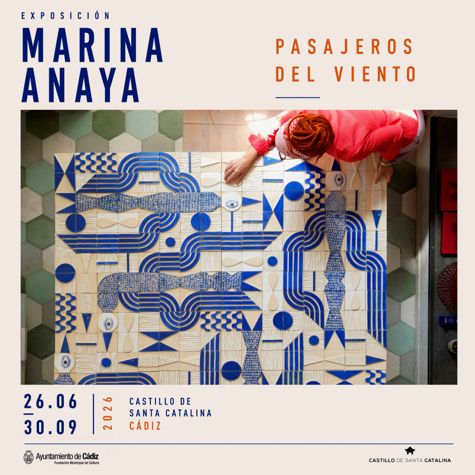 PASAJEROS DEL VIENTO